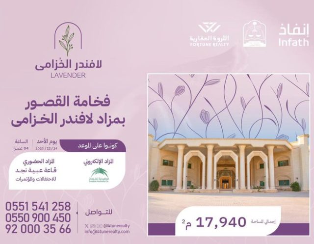 لافندر